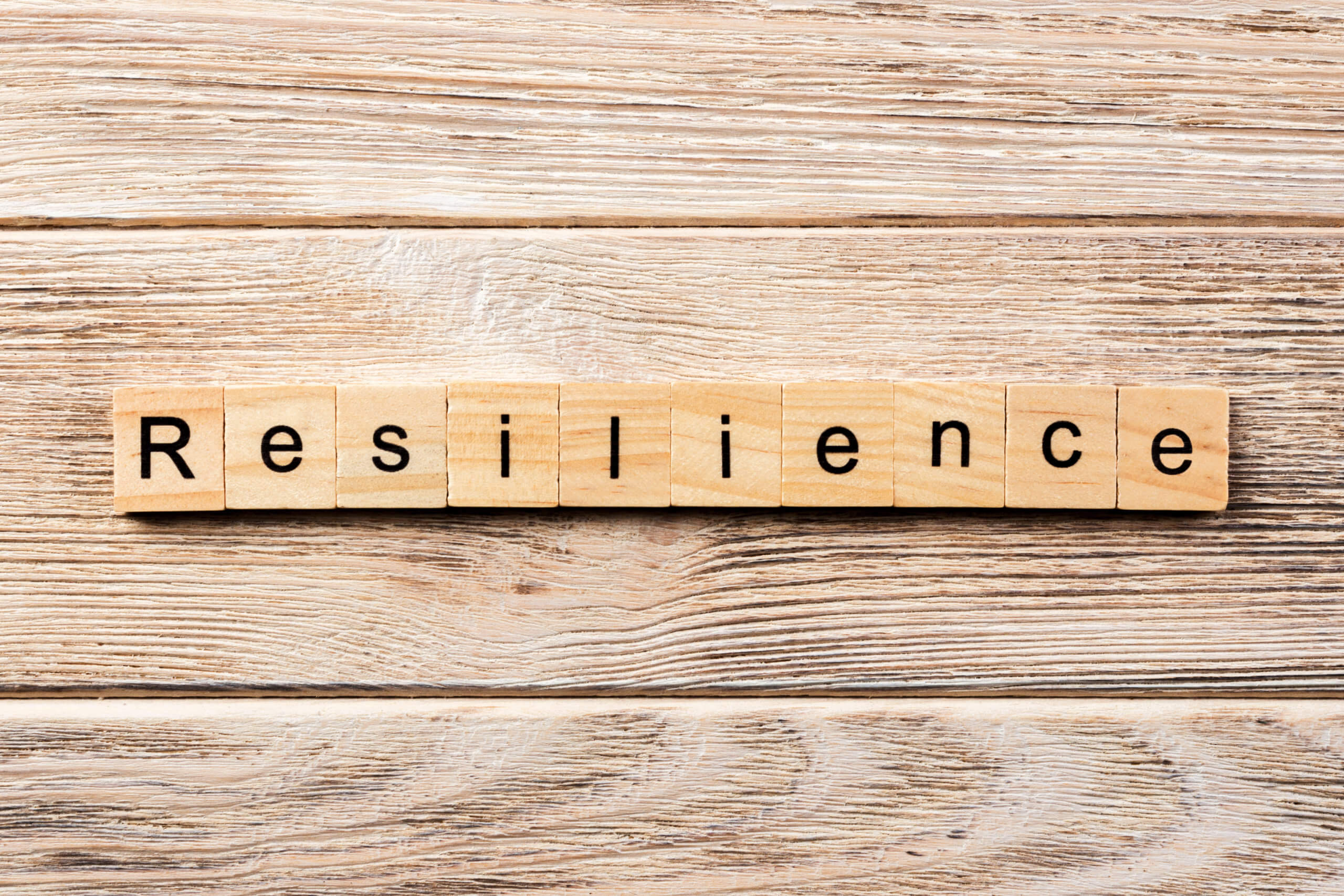 resilience explained